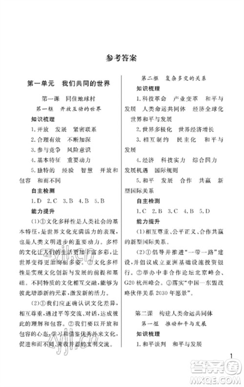 武汉出版社2023智慧学习天天向上课堂作业九年级道德与法治下册人教版参考答案