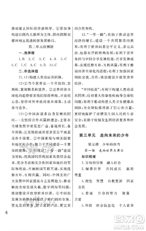 武汉出版社2023智慧学习天天向上课堂作业九年级道德与法治下册人教版参考答案