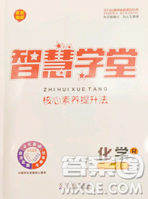 天津科学技术出版社2023智慧学堂核心素养提升法九年级下册化学人教版参考答案