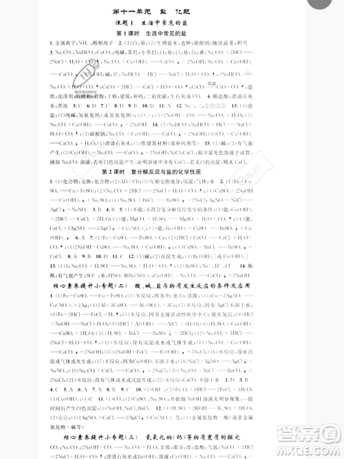 天津科学技术出版社2023智慧学堂核心素养提升法九年级下册化学人教版参考答案 天津科学技术出版社2023智慧学堂核心素养提升法九年级下册化学人教版参考答案