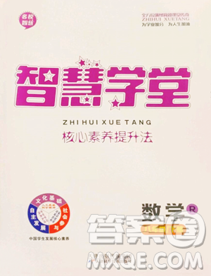 天津科学技术出版社2023智慧学堂核心素养提升法八年级下册数学人教版参考答案