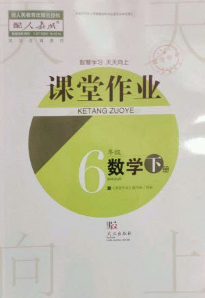 武汉出版社2023智慧学习天天向上课堂作业六年级数学下册人教版答案