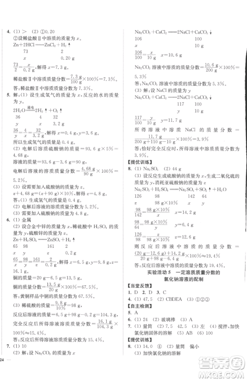 延边大学出版社2023南通小题课时作业本九年级下册化学人教版参考答案