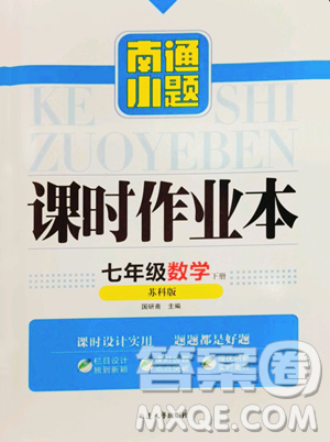 延边大学出版社2023南通小题课时作业本七年级下册数学苏科版参考答案