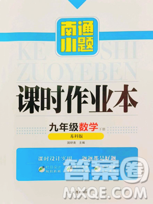 延边大学出版社2023南通小题课时作业本九年级下册数学苏科版参考答案