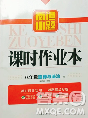 延边大学出版社2023南通小题课时作业本八年级下册道德与法治人教版参考答案