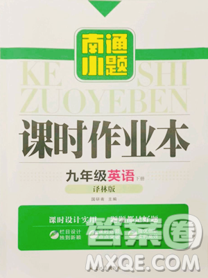 延边大学出版社2023南通小题课时作业本九年级下册英语译林版参考答案