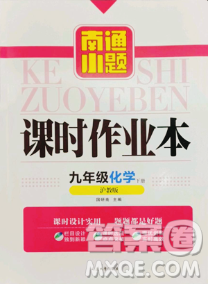 延边大学出版社2023南通小题课时作业本九年级下册道化学沪教版参考答案