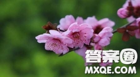 聆听自己的心声作文600字 关于聆听自己的心声为题的作文600字