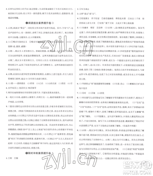 浙江人民出版社2023优+攻略八年级下册语文人教版参考答案