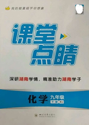 四川大学出版社2023课堂点睛九年级化学下册人教版湖南专版参考答案