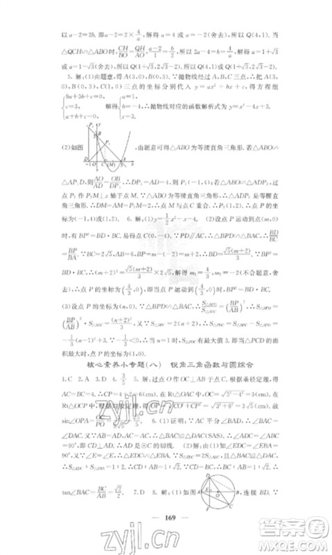 四川大学出版社2023课堂点睛九年级数学下册人教版参考答案