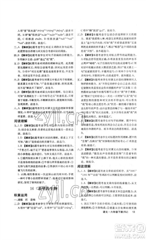 沈阳出版社2023课堂点睛六年级语文下册人教版福建专版参考答案
