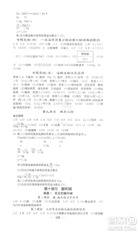 四川大学出版社2023课堂点睛九年级化学下册人教版安徽专版参考答案