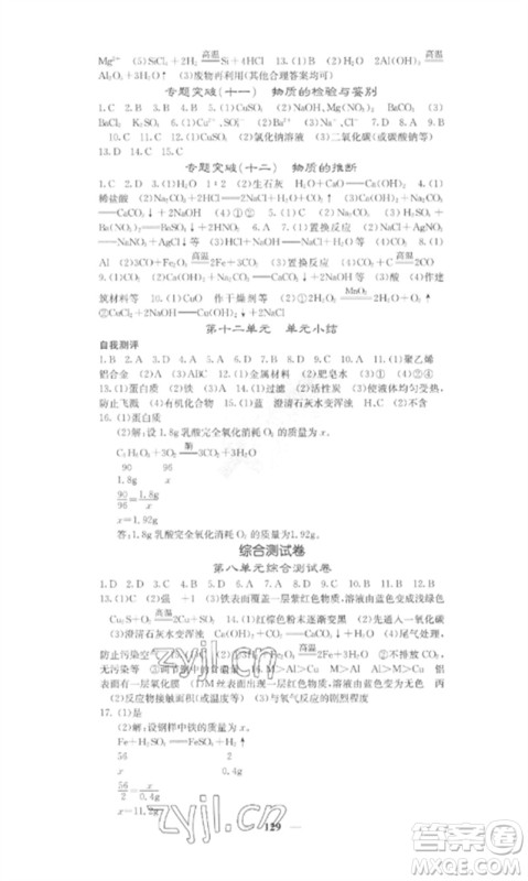 四川大学出版社2023课堂点睛九年级化学下册人教版安徽专版参考答案