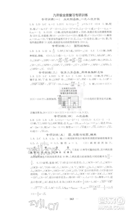 四川大学出版社2023课堂点睛九年级数学下册湘教版参考答案