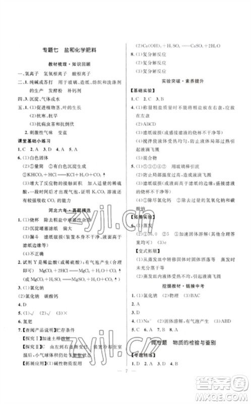 河北少年儿童出版社2023夺冠百分百中考冲刺九年级化学精讲册通用版河北专版参考答案