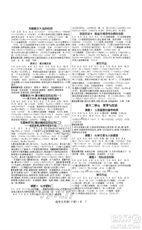 世界图书出版公司2023高分突破课时达标讲练测九年级化学下册人教版参考答案