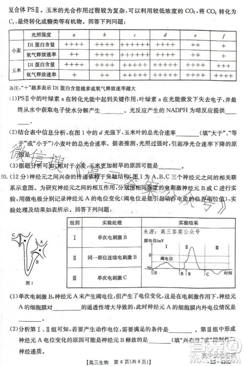 2023年金太阳高三4月联考23410C生物试卷答案