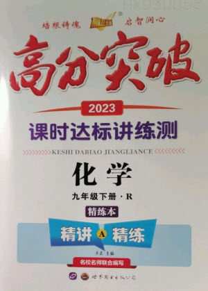 世界图书出版公司2023高分突破课时达标讲练测九年级化学下册人教版参考答案