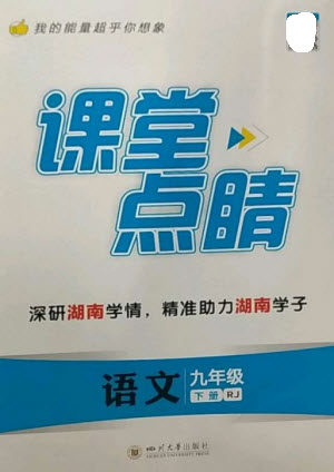 四川大学出版社2023课堂点睛九年级语文下册人教版湖南专版参考答案