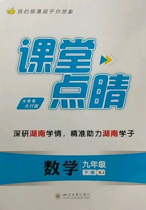 四川大学出版社2023课堂点睛九年级数学下册湘教版参考答案