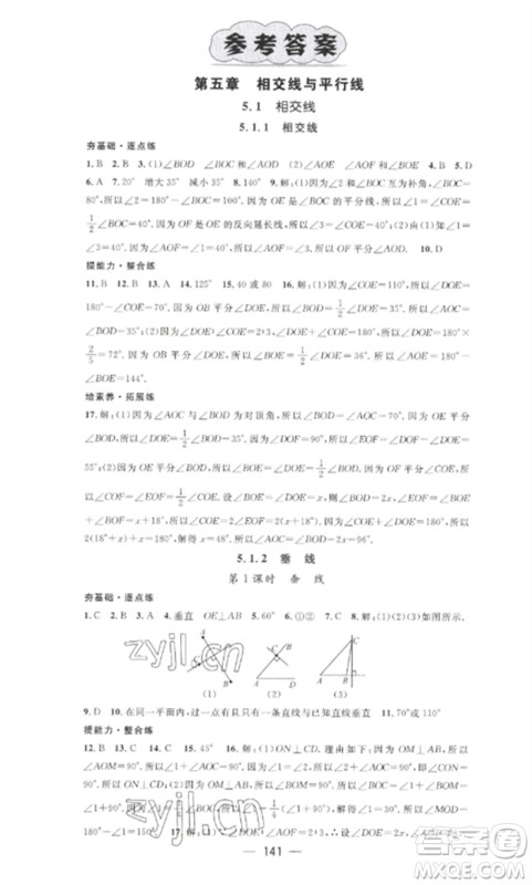 江西教育出版社2023精英新课堂三点分层作业七年级数学下册人教版参考答案