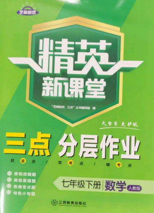 江西教育出版社2023精英新课堂三点分层作业七年级数学下册人教版参考答案