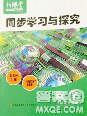 青岛出版社2023新课堂同步学习与探究九年级下册数学人教版金乡专版参考答案