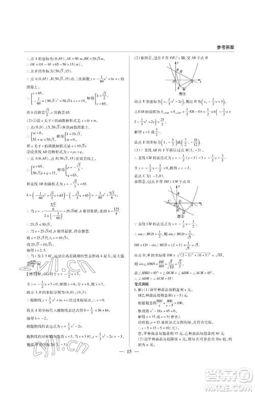 青岛出版社2023新课堂同步学习与探究九年级下册数学人教版金乡专版参考答案