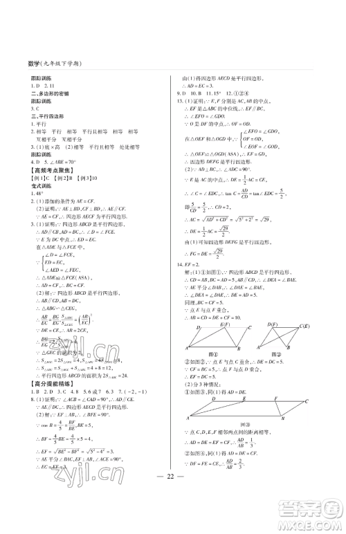 青岛出版社2023新课堂同步学习与探究九年级下册数学人教版金乡专版参考答案
