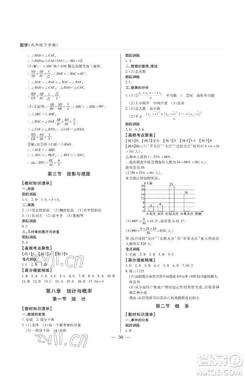 青岛出版社2023新课堂同步学习与探究九年级下册数学人教版金乡专版参考答案