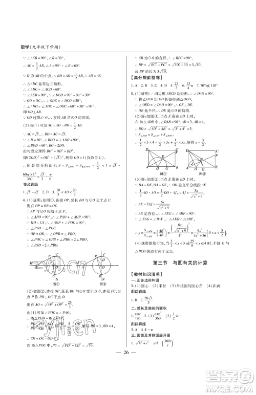 青岛出版社2023新课堂同步学习与探究九年级下册数学人教版金乡专版参考答案