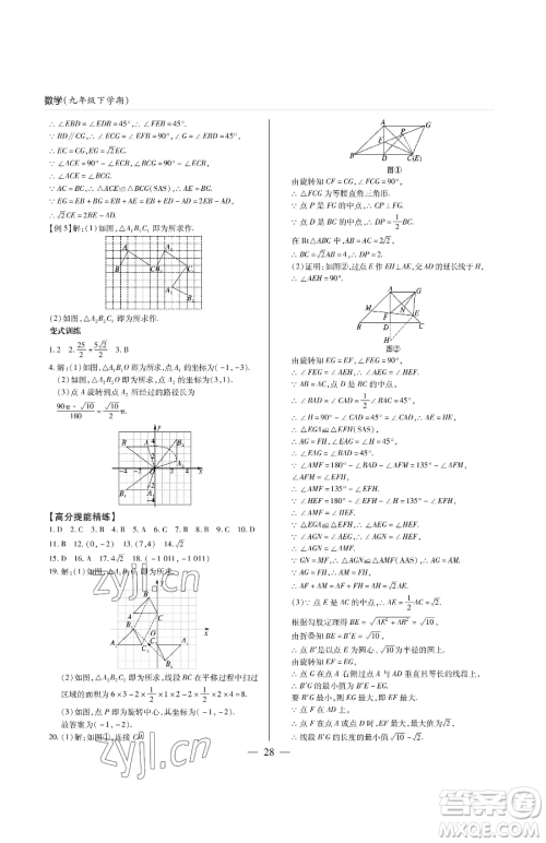 青岛出版社2023新课堂同步学习与探究九年级下册数学人教版金乡专版参考答案