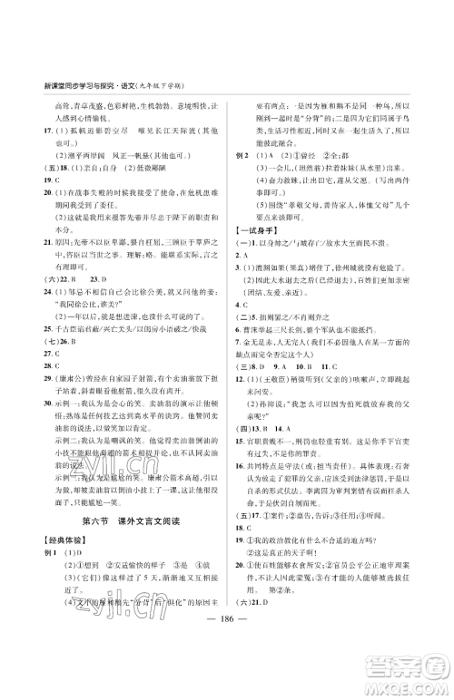 青岛出版社2023新课堂同步学习与探究九年级下册语文人教版金乡专版参考答案