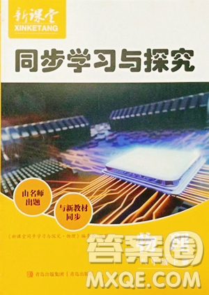 青岛出版社2023新课堂同步学习与探究八年级下册物理人教版金乡专版参考答案