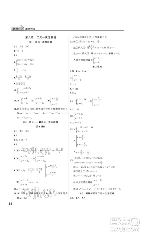 武汉出版社2023智慧学习天天向上课堂作业七年级数学下册人教版参考答案