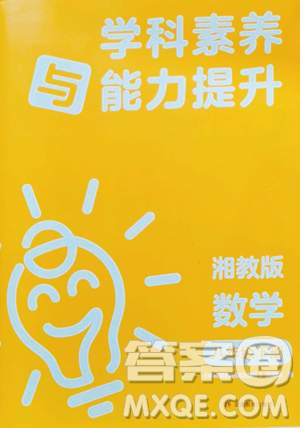 湖南教育出版社2023学科素养与能力提升八年级下册数学湘教版参考答案
