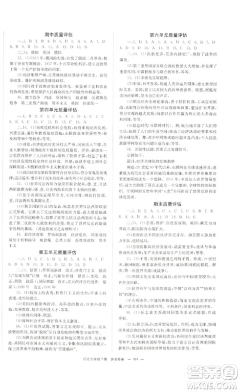 北京时代华文书局2023全效学习学业评价方案九年级世界历史下册人教版参考答案