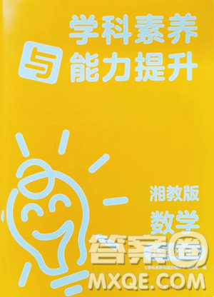 湖南教育出版社2023学科素养与能力提升九年级下册数学湘教版参考答案