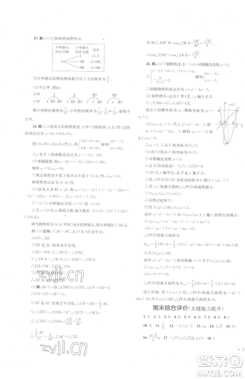 湖南教育出版社2023学科素养与能力提升九年级下册数学湘教版参考答案