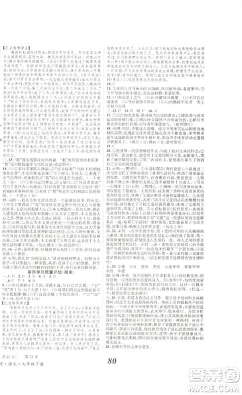 北京时代华文书局2023全效学习学业评价方案九年级语文下册人教版参考答案