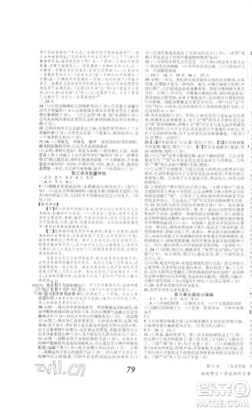 北京时代华文书局2023全效学习学业评价方案九年级语文下册人教版参考答案
