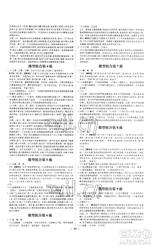 光明日报出版社2023全效学习中考学练测九年级语文通用版浙江专版参考答案