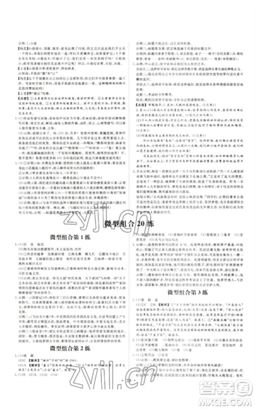 光明日报出版社2023全效学习中考学练测九年级语文通用版浙江专版参考答案