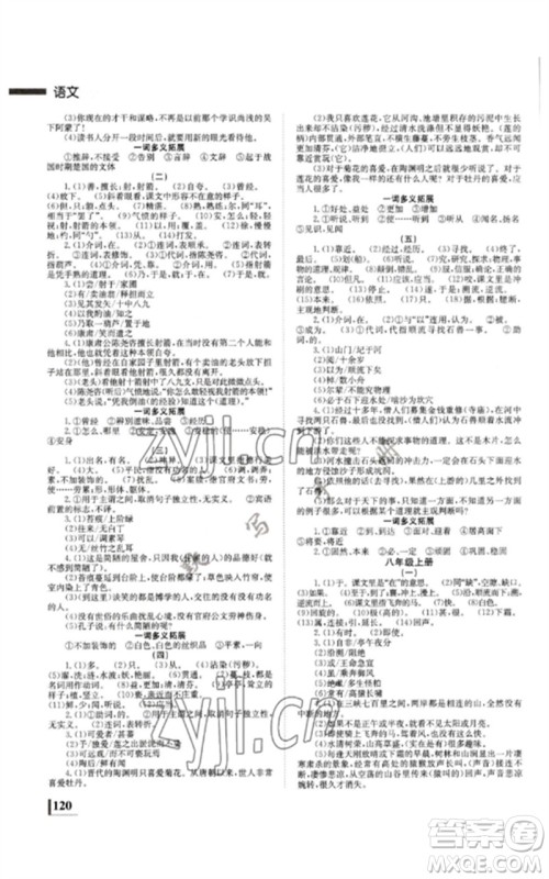 湖南师范大学出版社2023全效学习中考学练测九年级语文人教版郴州专版参考答案