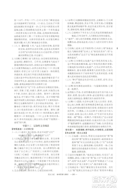 湖南师范大学出版社2023全效学习中考学练测九年级语文人教版郴州专版参考答案