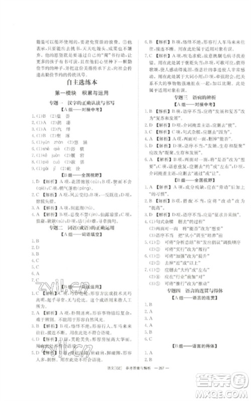 湖南师范大学出版社2023全效学习中考学练测九年级语文人教版郴州专版参考答案