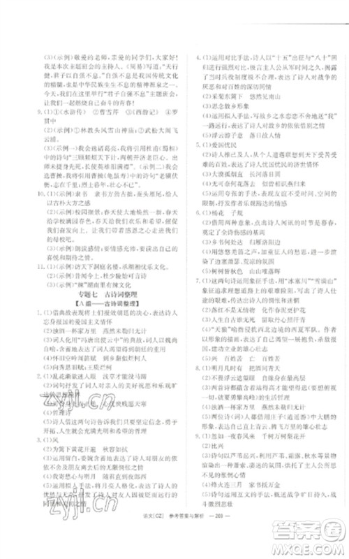 湖南师范大学出版社2023全效学习中考学练测九年级语文人教版郴州专版参考答案