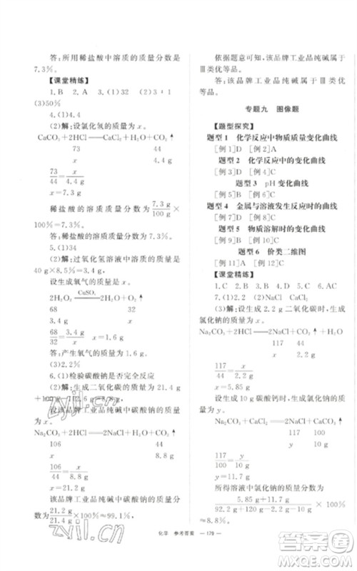 湖南师范大学出版社2023全效学习中考学练测九年级化学通用版参考答案